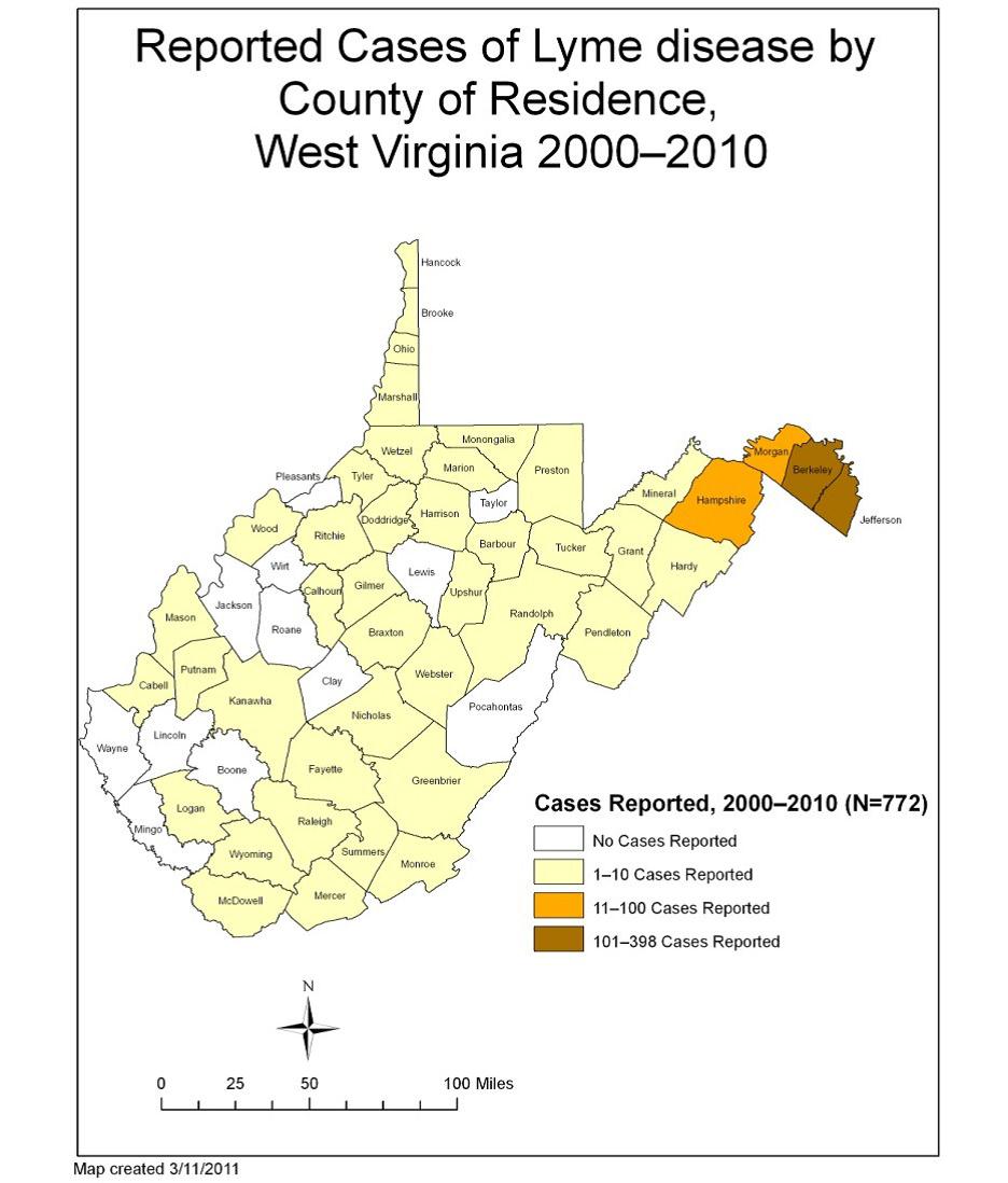 Click here to enlarge the image.